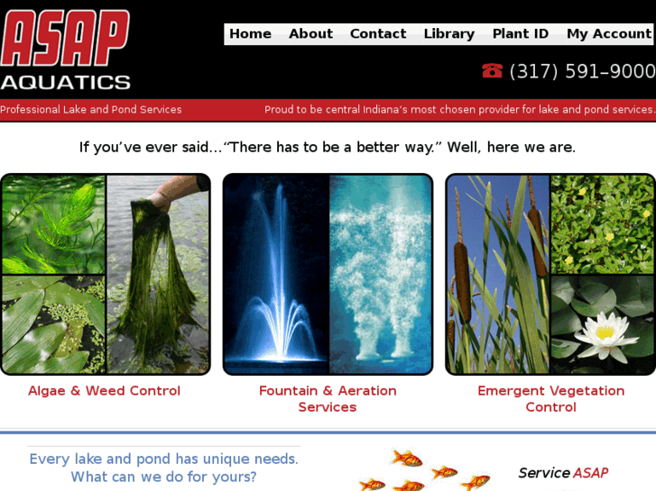 www.asapaquatics.com