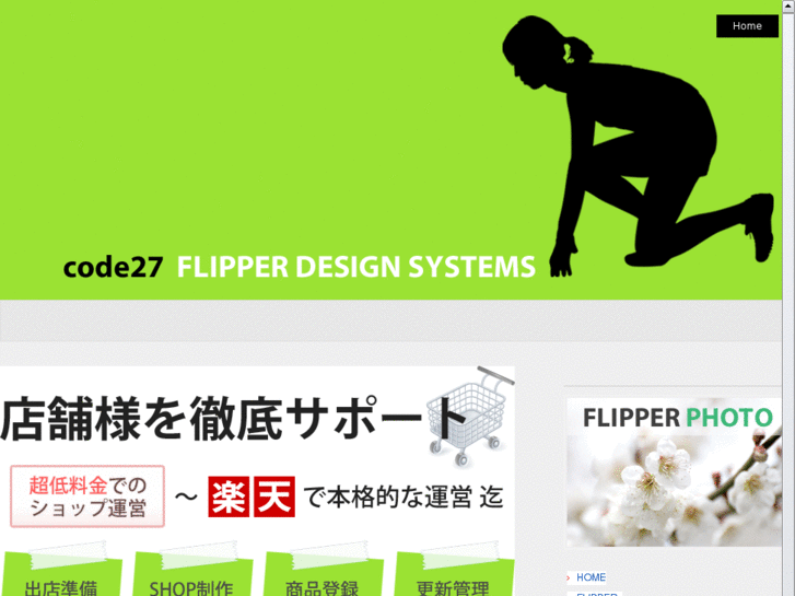 www.flipper-net.com