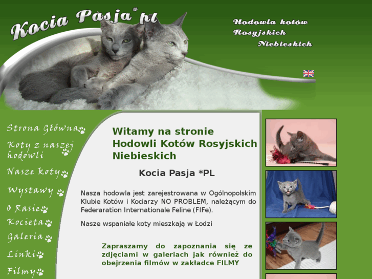 www.kociapasja.pl