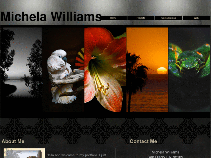 www.michelawilliams.com