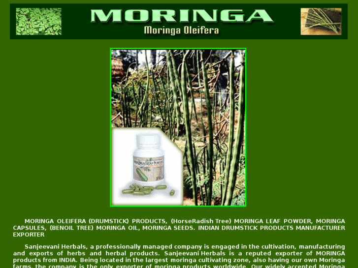 www.moringa.net