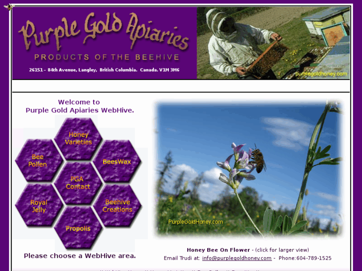 www.purplegoldhoney.com