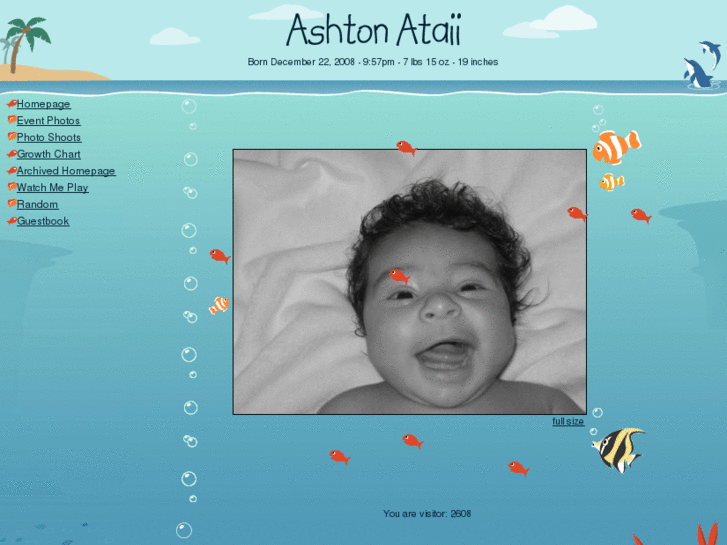 www.ashtonataii.com