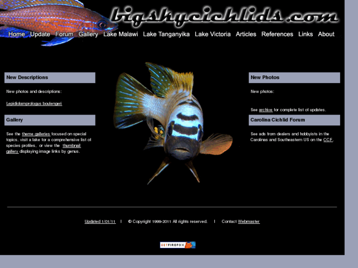 www.bigskycichlids.com