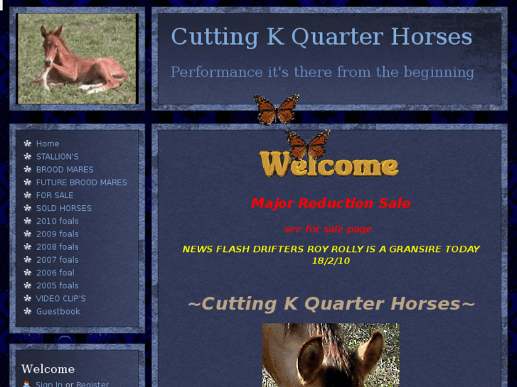 www.cuttingkquarterhorses.com