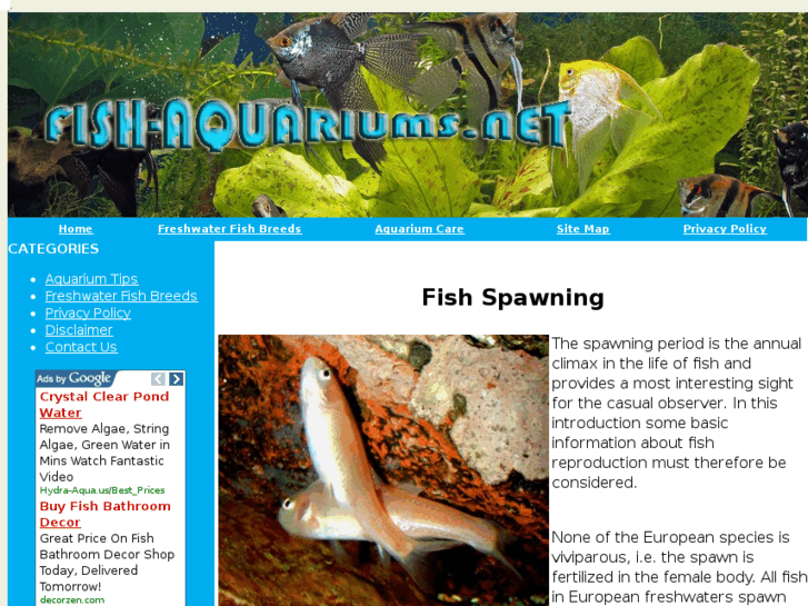 www.fish-aquariums.net