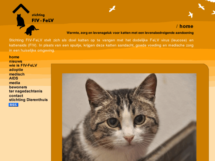 www.fiv-felv.nl