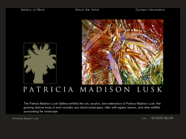 www.luskgallery.com