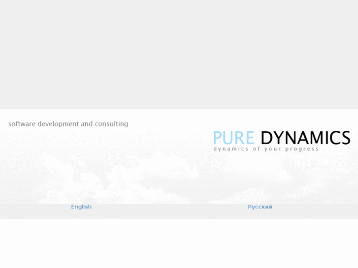 www.p-dynamics.com