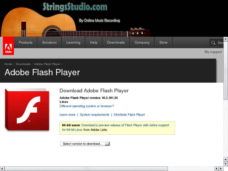 www.stringsstudio.com