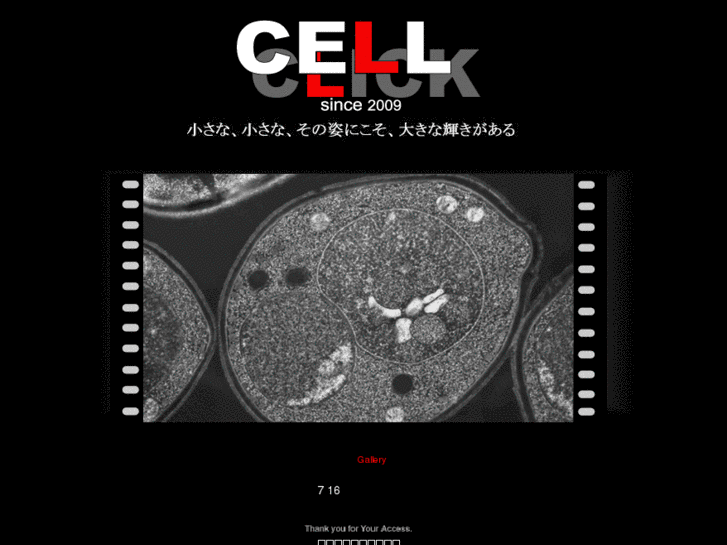 www.cell-click.net