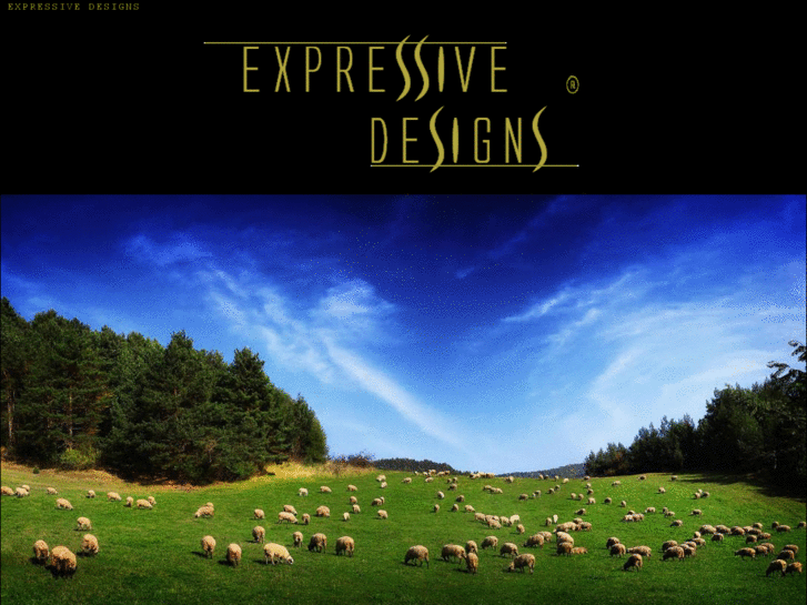 www.expressivedesignsllc.com