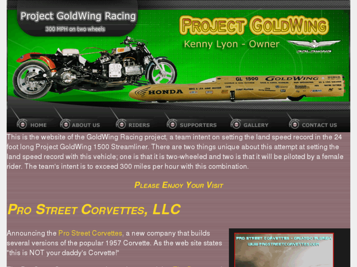 www.goldwingracingproject.info