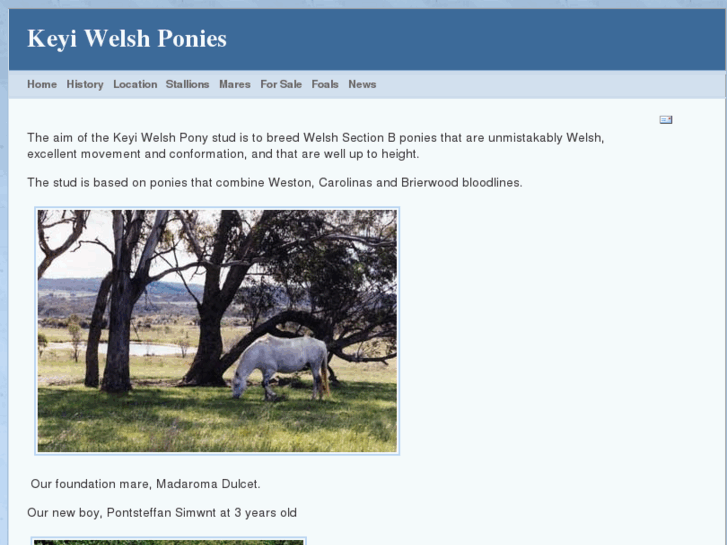 www.keyiwelshponies.com