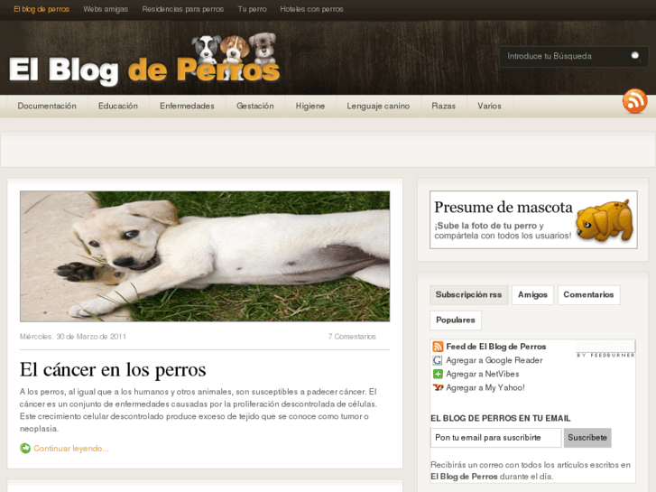 www.elblogdeperros.com