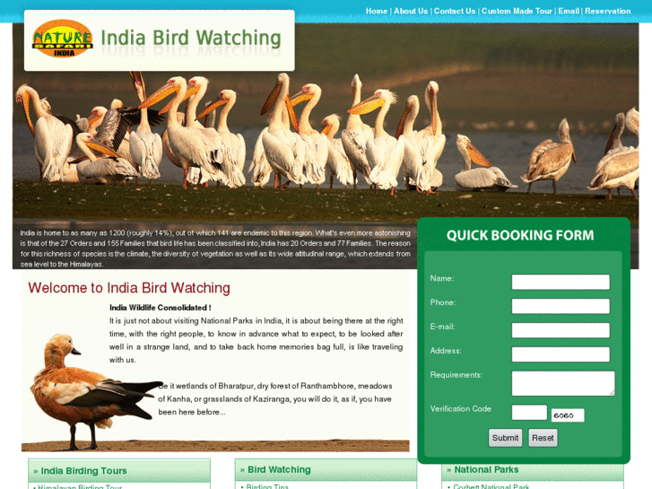 www.indiabirdwatching.com