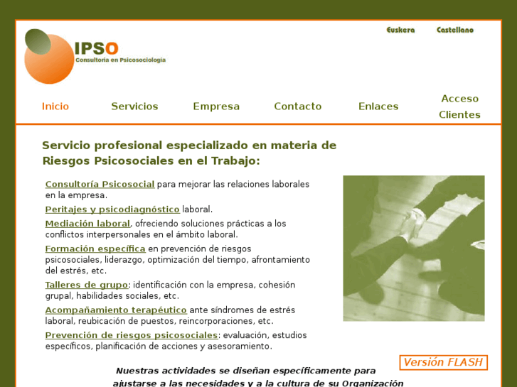 www.ipsoconsultora.es