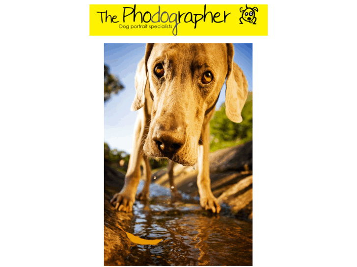 www.thephodographer.com.au