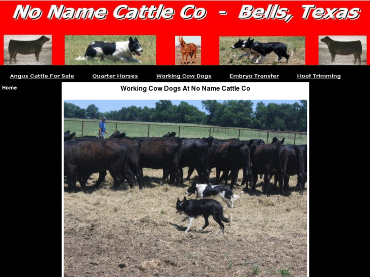 www.workingcowdogs.net