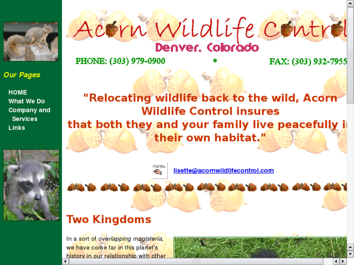 www.acornwildlifecontrol.com