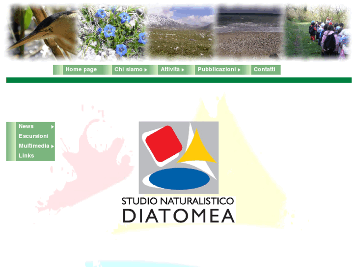 www.studiodiatomea.it