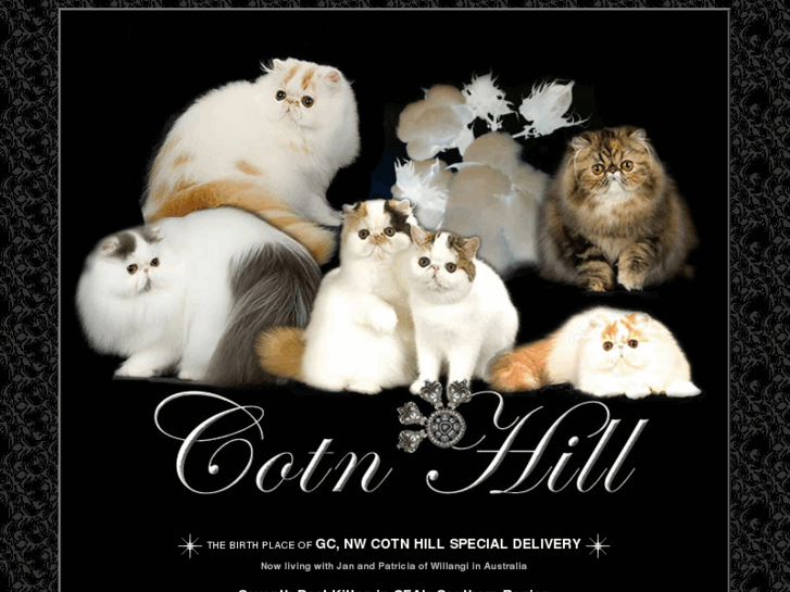 www.cotn-hill.com