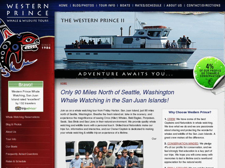 www.islandwhalewatching.com