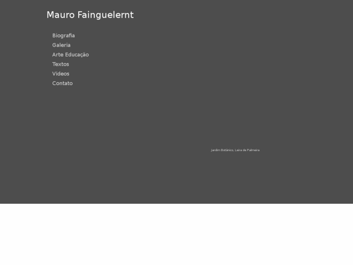 www.maurofainguelernt.com