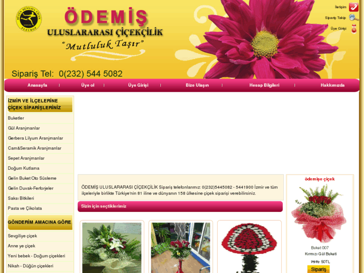 www.odemiscicek.com