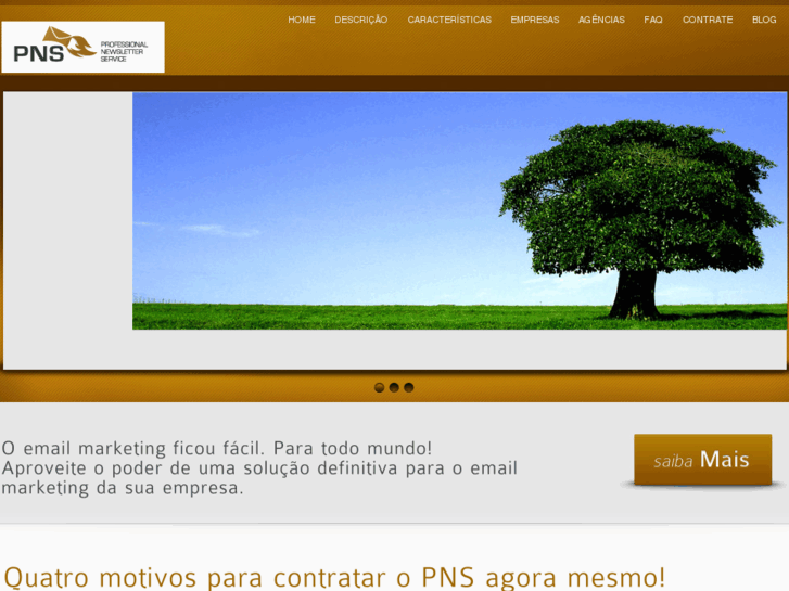 www.pns.com.br