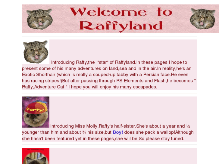 www.raffyland.com