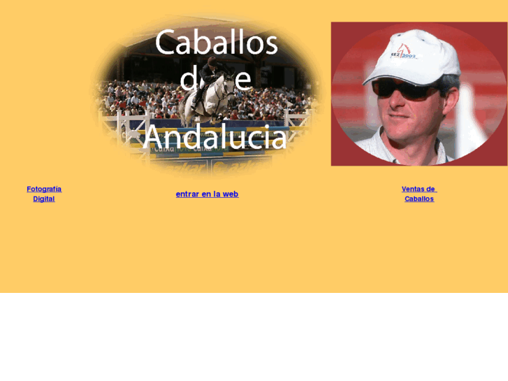 www.caballosdeandalucia.com