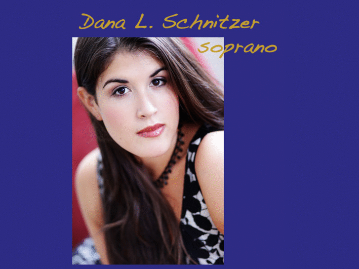 www.danaschnitzer.com