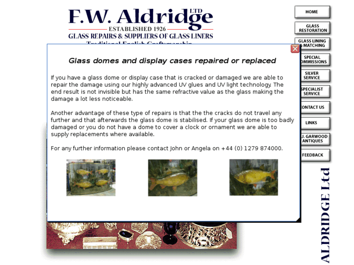 www.fwaldridgeglass.com