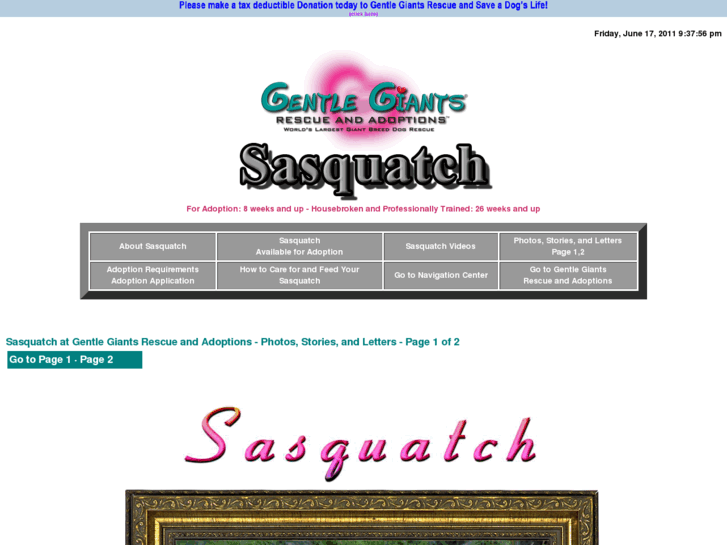 www.gentlegiantsrescue-sasquatch.com