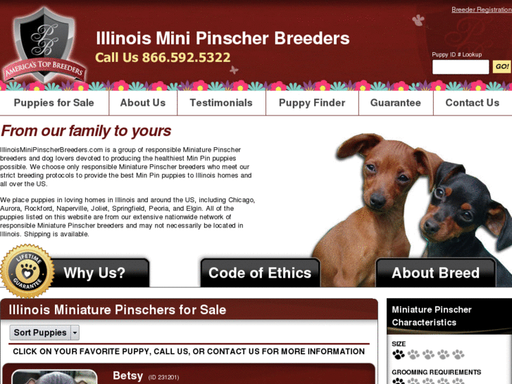 www.illinoisminipinscherbreeders.com