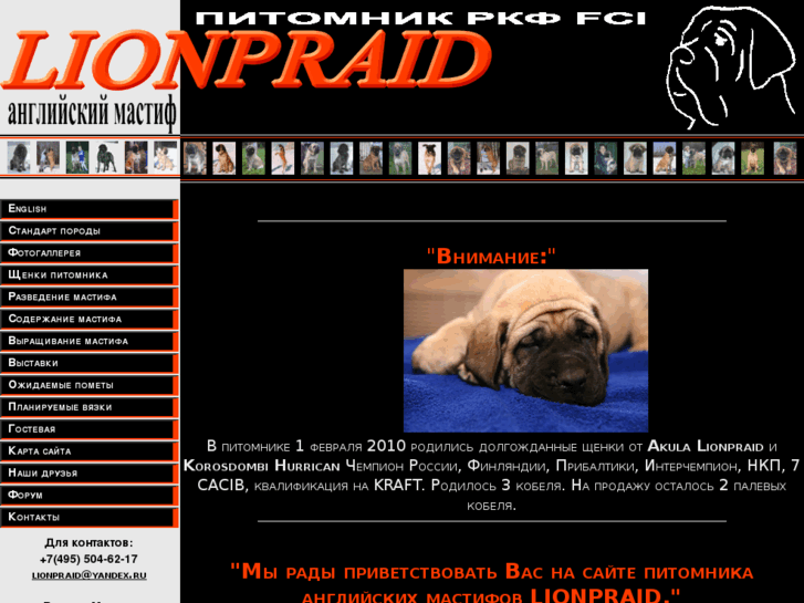 www.lionpraid.ru