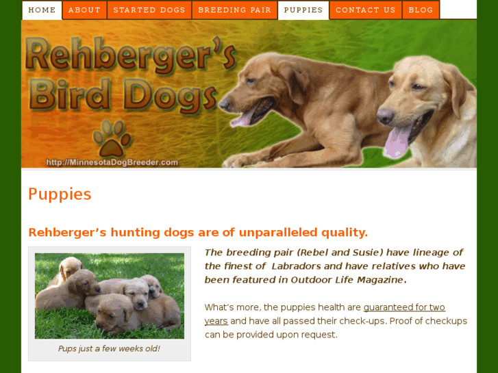 www.minnesotadogbreeder.com