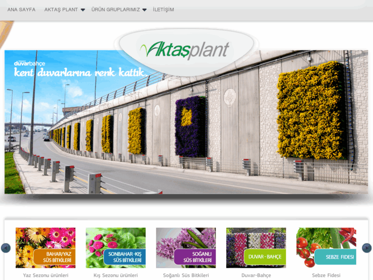 www.aktasplant.com