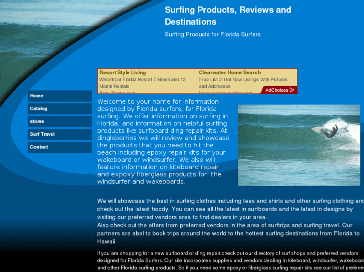 www.dingleberriessurf.com