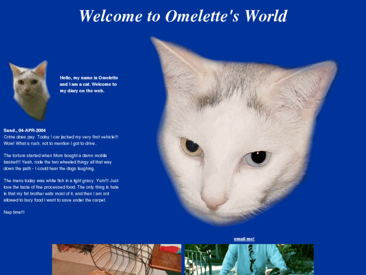 www.meow-omelette.com