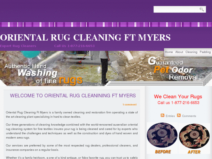 www.orientalrugcleaningftmeyers.com