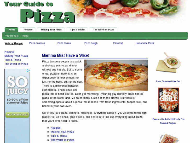 www.yourguidetopizza.com