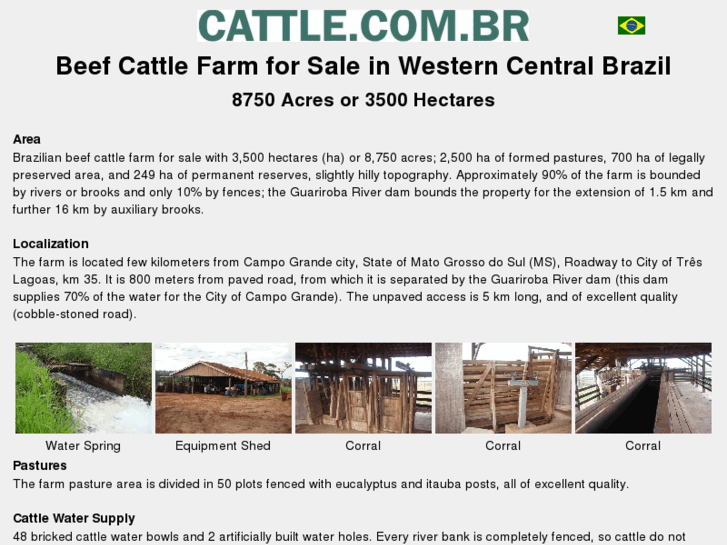 www.cattle.com.br