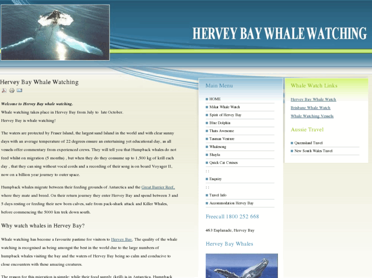 www.hervey-bay-whales.com