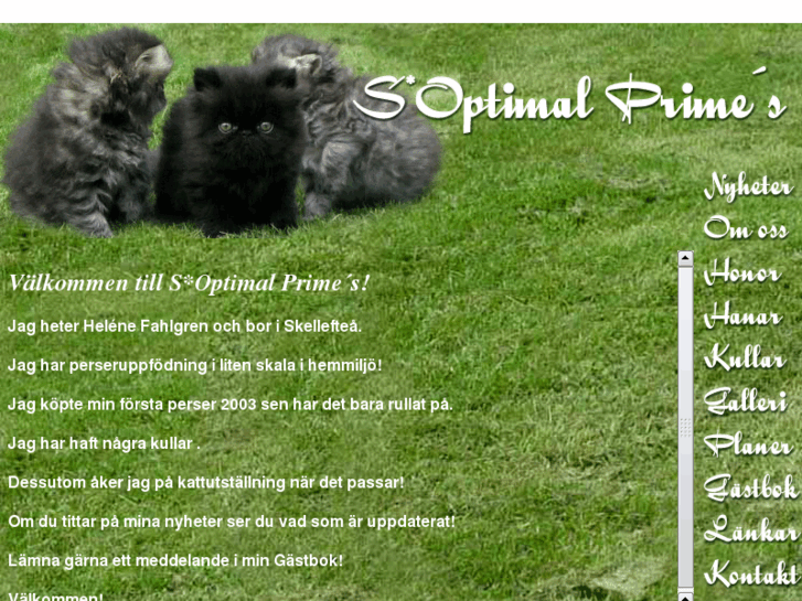 www.optimalprimes.se