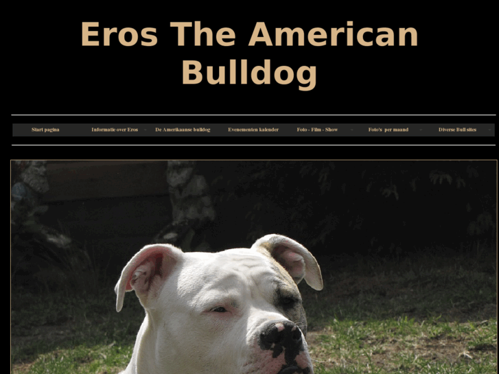 www.the-american-bulldog.com