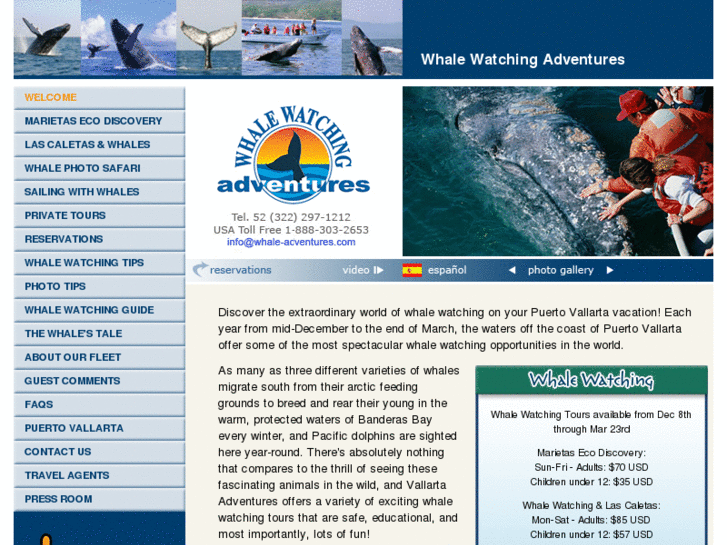 www.whale-adventures.com