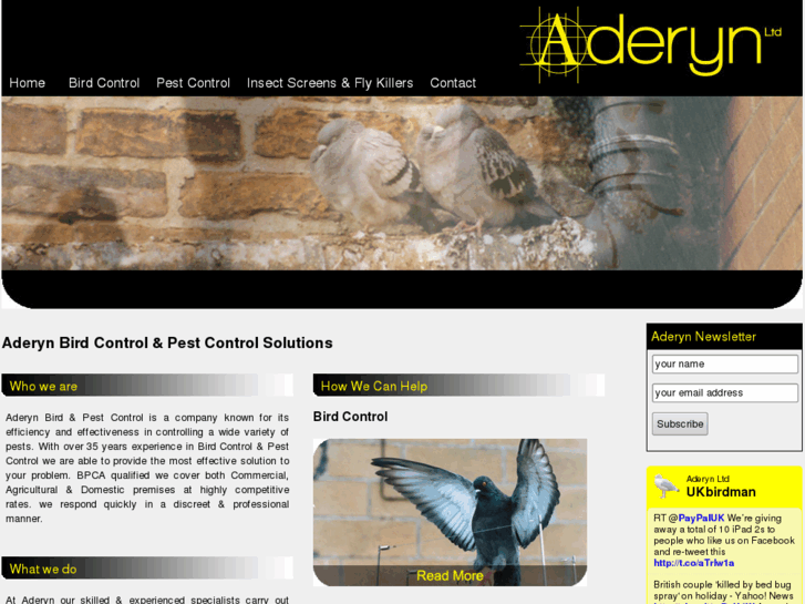 www.aderyn.co.uk