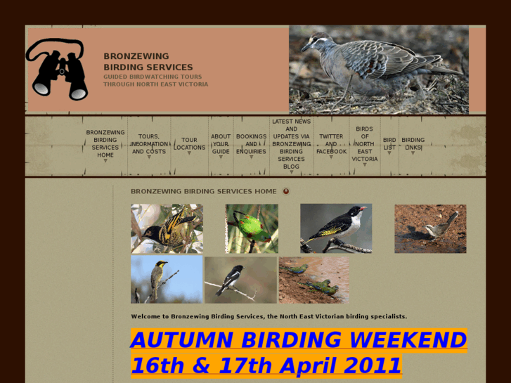 www.bronzewingbirdingservices.com